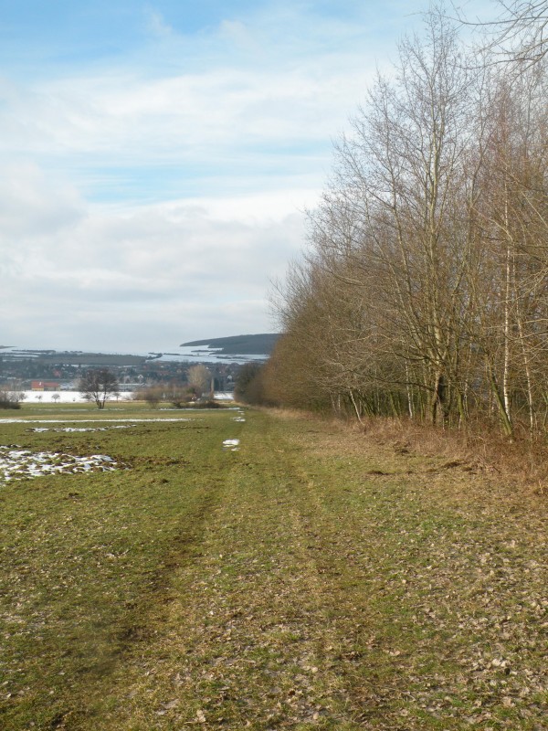 DSCN0470