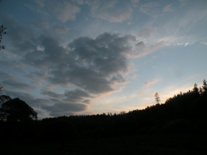 DSCN0469