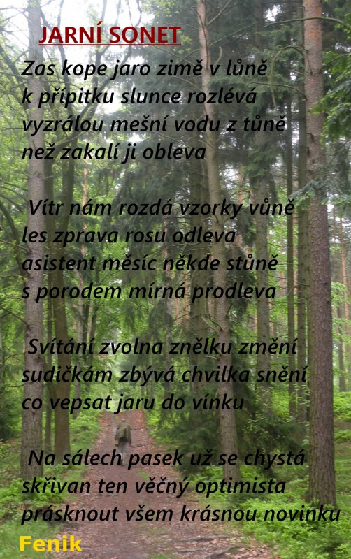 fenik