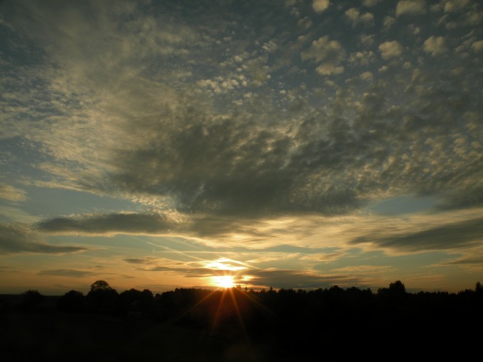 DSCN9962