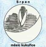 img404a3fae1977c[1]