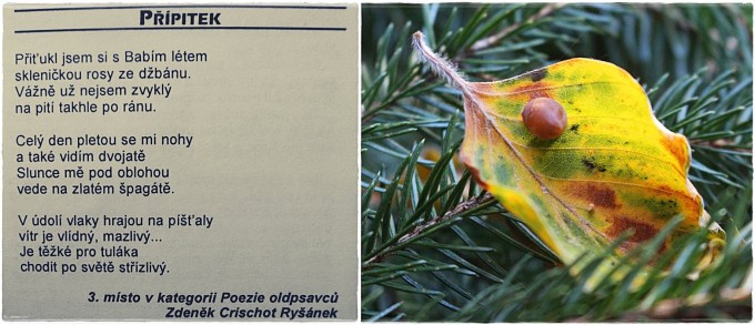 priiipi